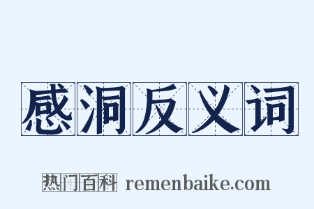 感洞反义词是什么意思的图片